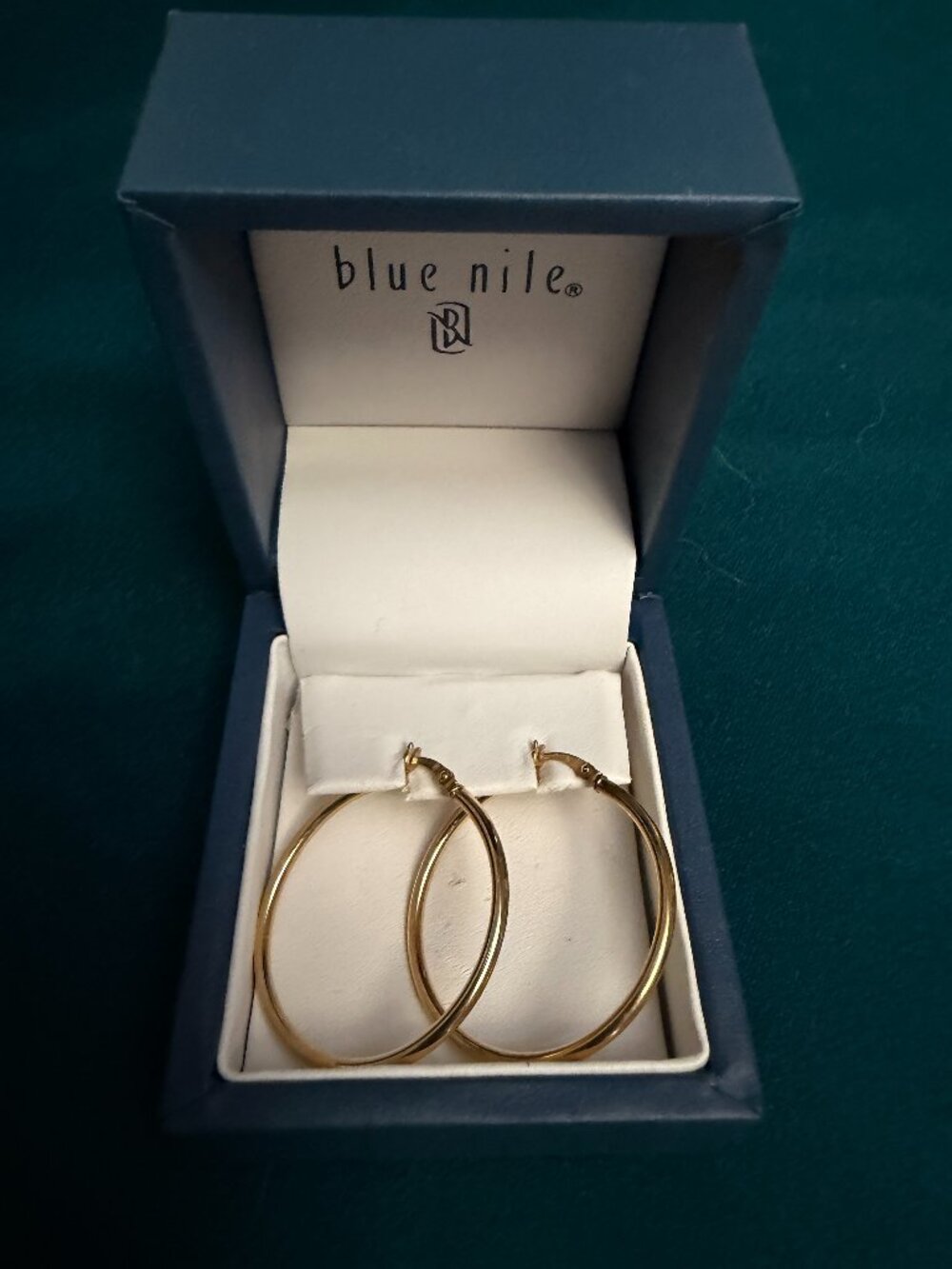 Blue Nile 14K Yellow Gold Hoop Earrings